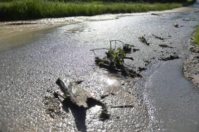 Uhingen: Unwetterfront zieht ueber den Ort und laesst Strassen und Keller vollaufen
